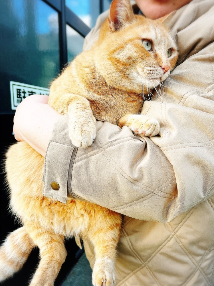 猫なぎ。さんが投稿した湯野浜温泉に関する口コミの画像