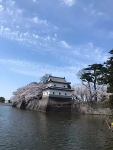 新発田城