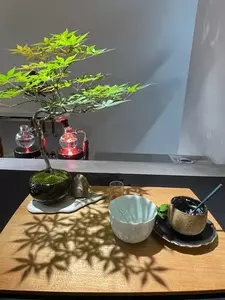彩盆の間
