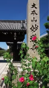 妙蓮寺