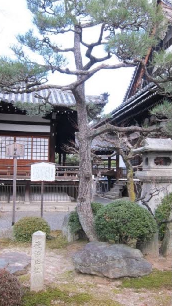 京都を巡る会・「武」さんが投稿したLIFE 智恵光院店に関する口コミの画像
