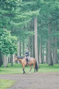 ノーザン ホースパーク（NORTHERN Horse Park）