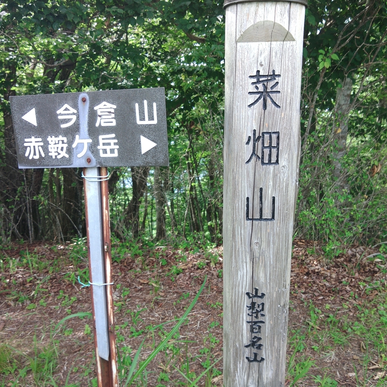 タッキーさんが投稿した道志宿に関する口コミの画像