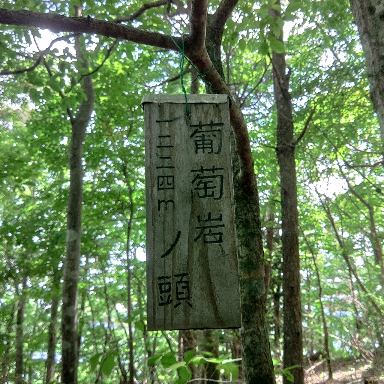 タッキーさんが投稿した道志宿に関する口コミの画像