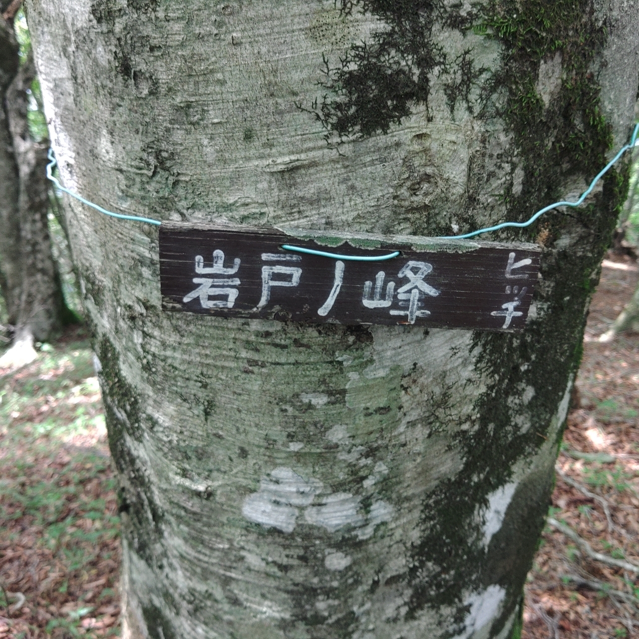 タッキーさんが投稿した道志宿に関する口コミの画像