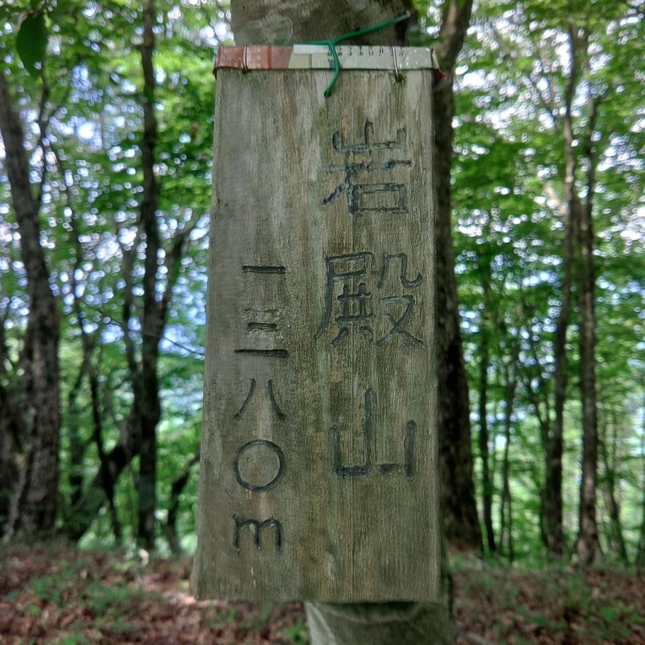 タッキーさんが投稿した道志宿に関する口コミの画像