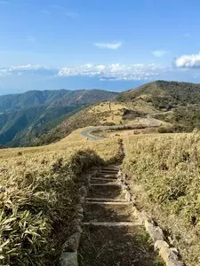 達磨山
