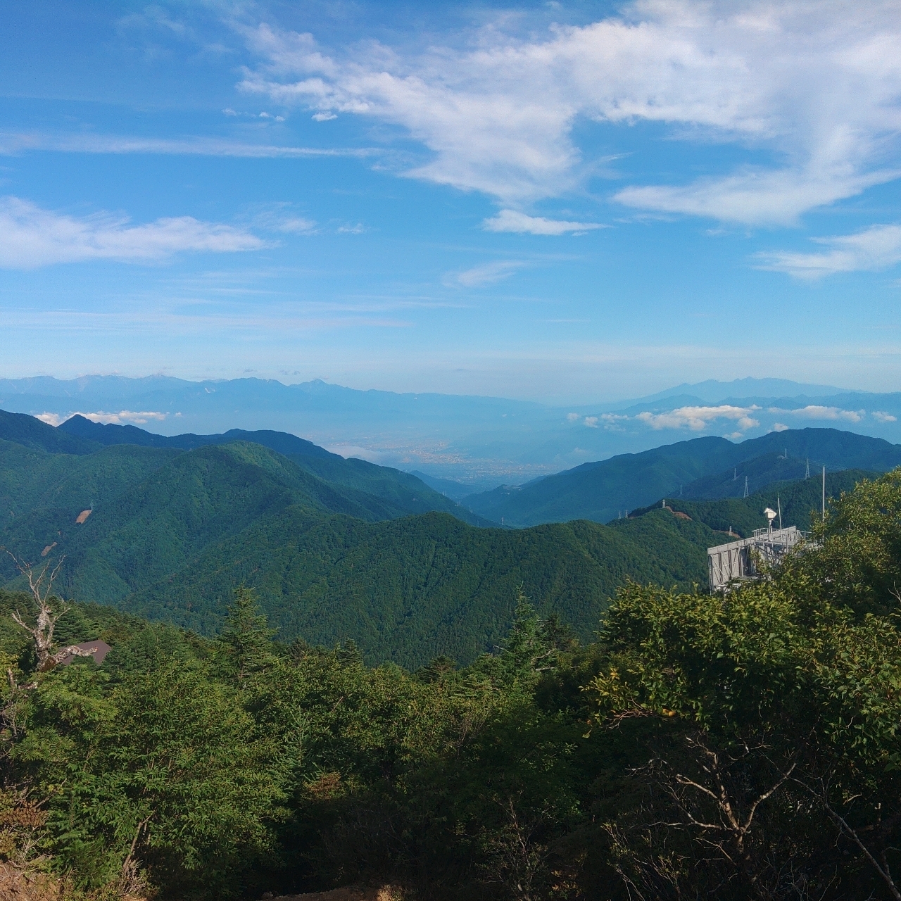 タッキーさんが投稿した四季楽園に関する口コミの画像