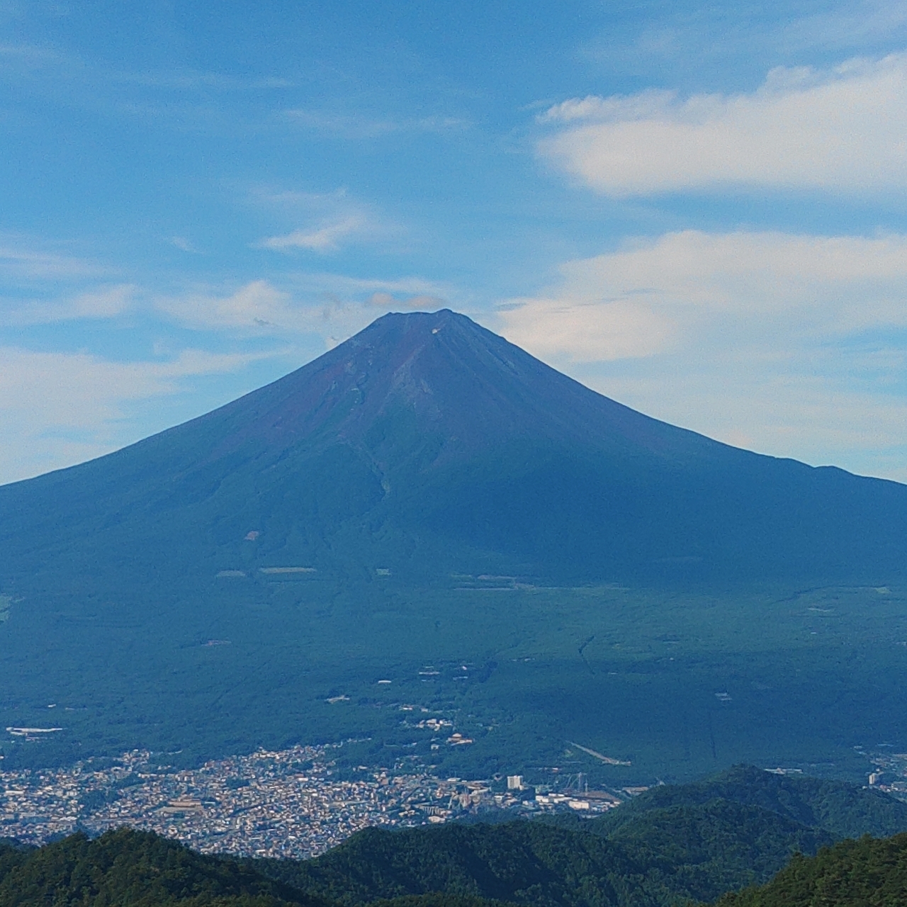 タッキーさんが投稿した四季楽園に関する口コミの画像