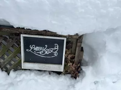 土曜日はイタリアン(ドヨウビハ イタリアン) 2枚目