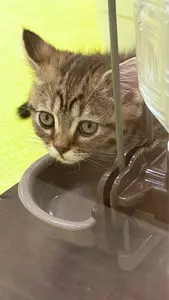 イオンモール 羽生