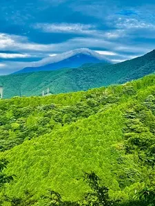 小山茶寮 かつ榮