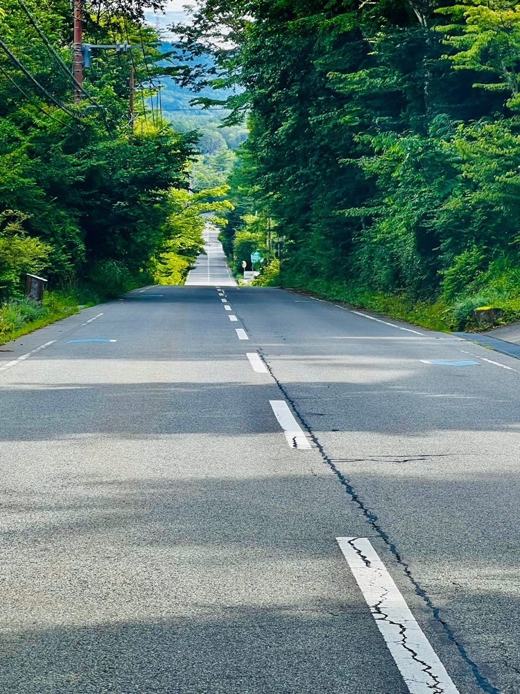 ビンカさんが投稿した小山茶寮 かつ榮に関する口コミの画像