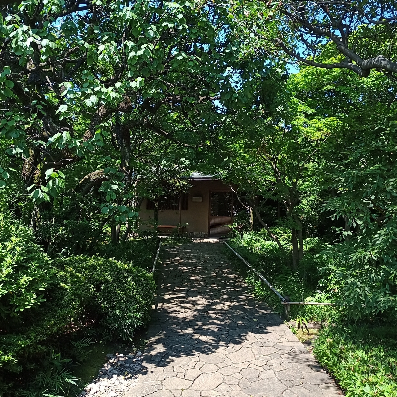 のんびりんこさんが投稿した目白庭園に関する口コミの画像