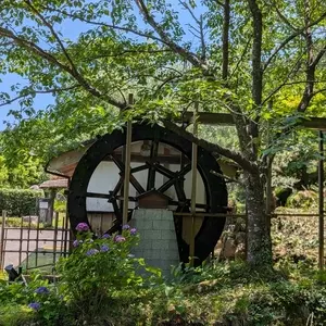 瓜割の滝(若狭瓜割名水公園)