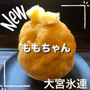 大宮 氷連