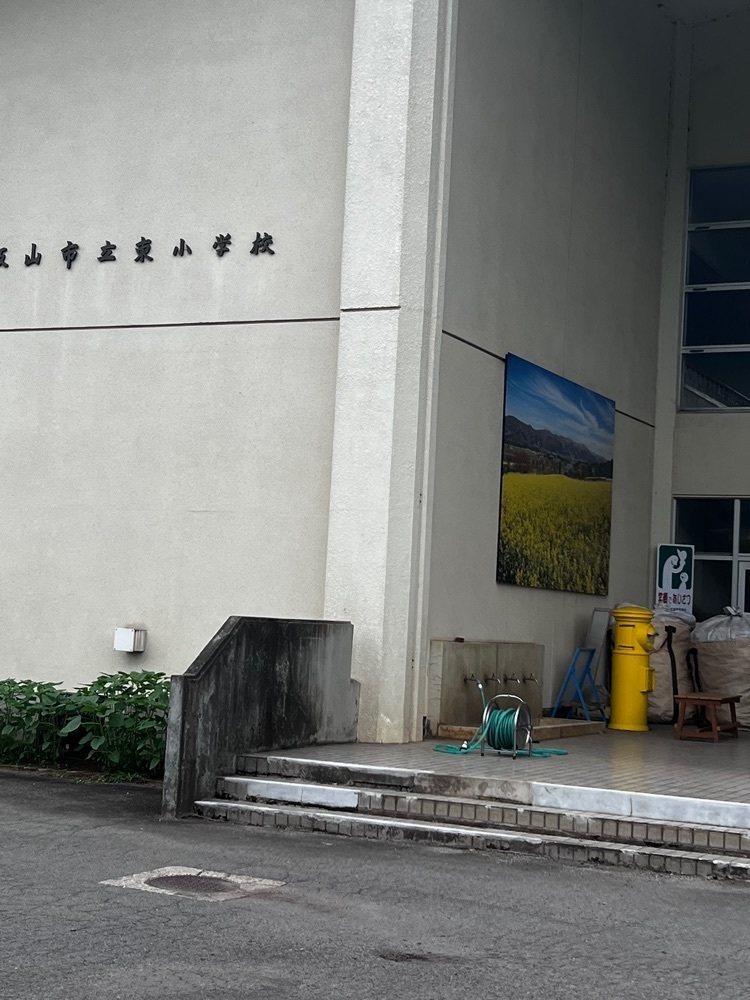asomogさんが投稿した菜の花公園に関する口コミの画像