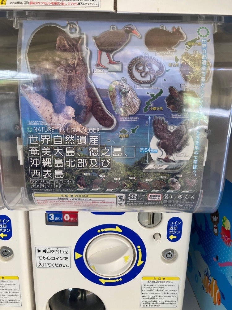 ゴンさんが投稿した道の駅 おおぎみに関する口コミの画像