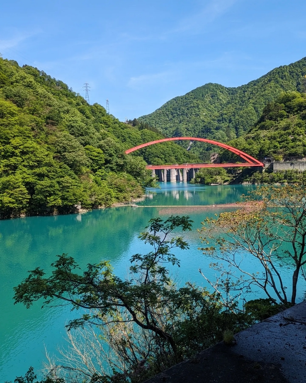 もんこのもぐもぐ日記さんが投稿した福多屋菓子舗に関する口コミの画像