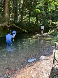 寺尾ヶ原千本桜公園 1枚目