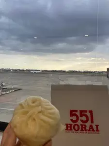 551蓬莱 JR新大阪駅中央口店（改札外）（551 HORAI）