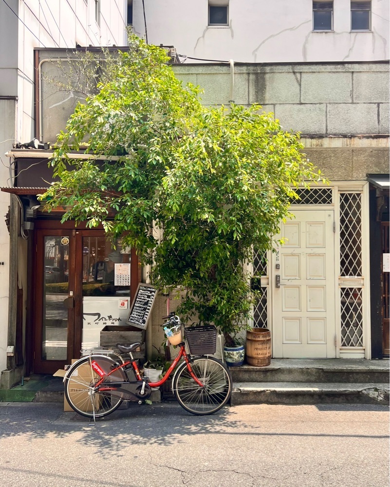 masayan.310さんが投稿したワインちゃん 瓦・町・路・地に関する口コミの画像