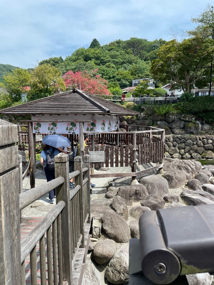 L&Rさんが投稿した修善寺温泉に関する口コミの画像