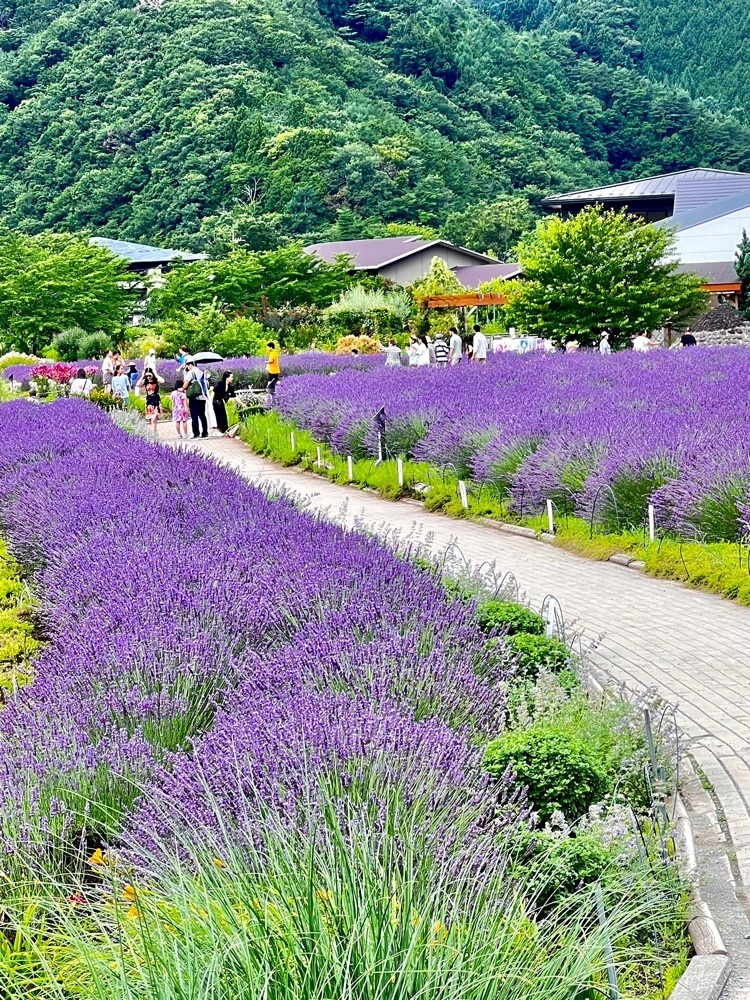 ビンカさんが投稿した河口湖自然生活館 ブルーベリーの里（KAWAGUCHIKO NATURAL LIVING CENTER）に関する口コミの画像