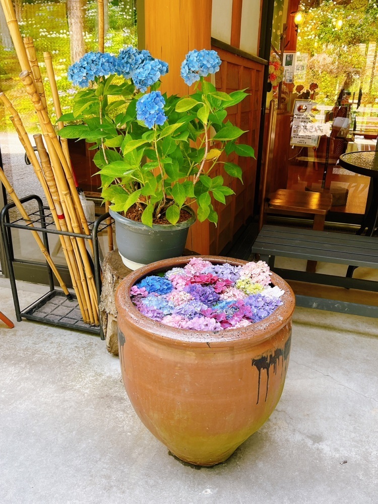 猫なぎ。さんが投稿した紫陽花山荘に関する口コミの画像