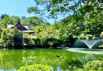 井の頭弁財天 2枚目
