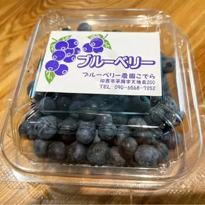 ブルーベリー農園こでら