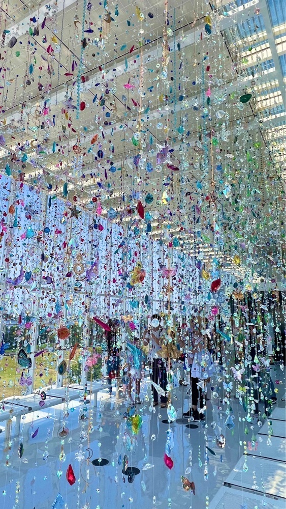 miiさんが投稿した葛西海浜公園に関する口コミの画像