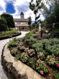 ハーブ庭園旅日記 富士河口湖庭園