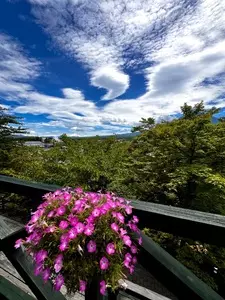 ハーブ庭園旅日記 富士河口湖庭園