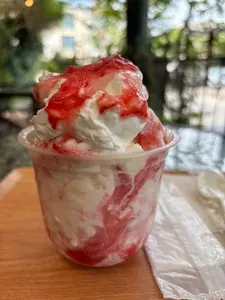アントルメ菓樹