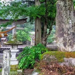 白川八幡神社 2枚目