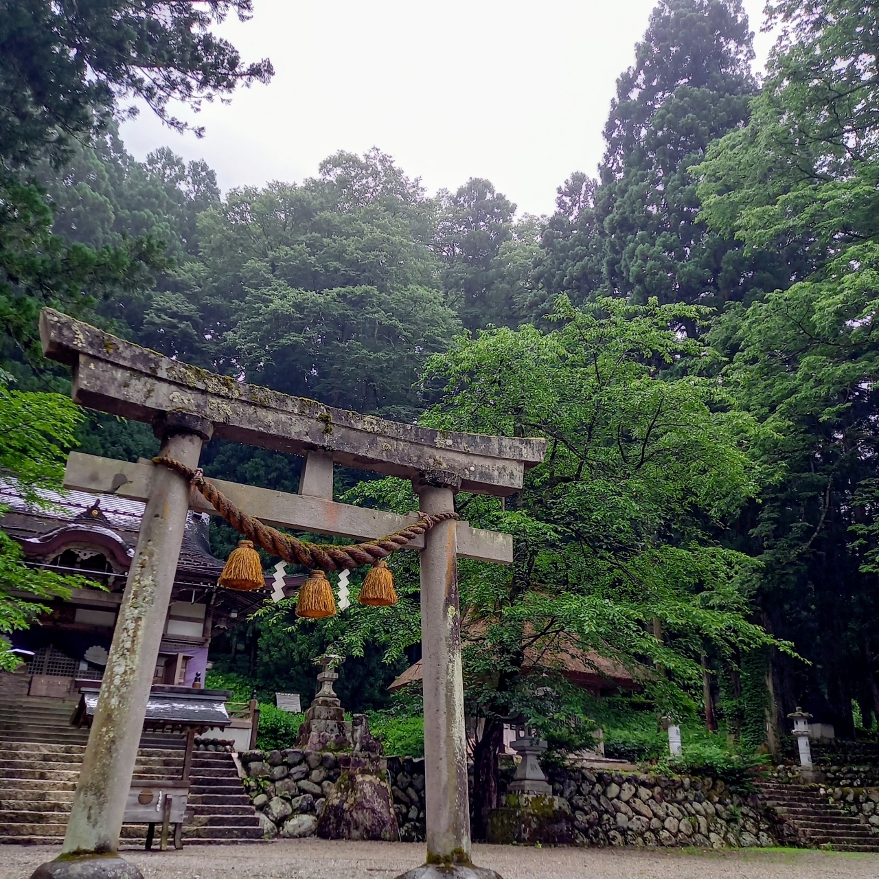 guttyo8888さんが投稿した白川八幡神社に関する口コミの画像