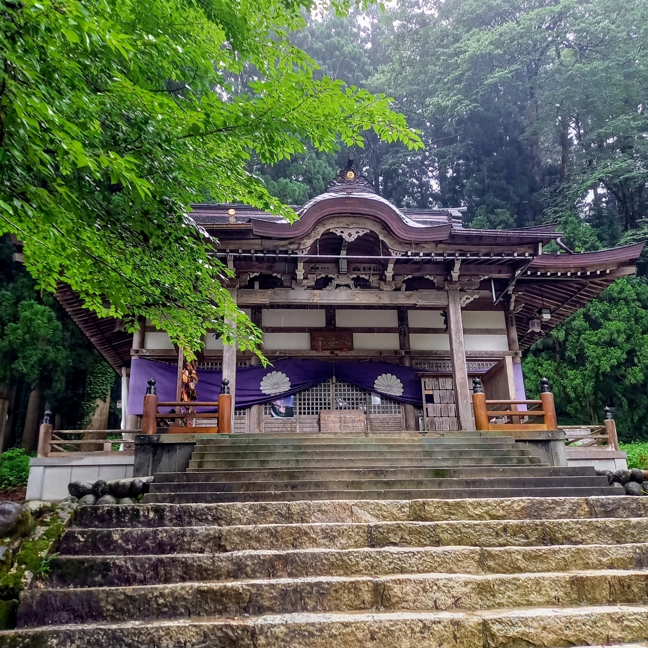 guttyo8888さんが投稿した白川八幡神社に関する口コミの画像