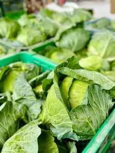 久保農園 生産直売所