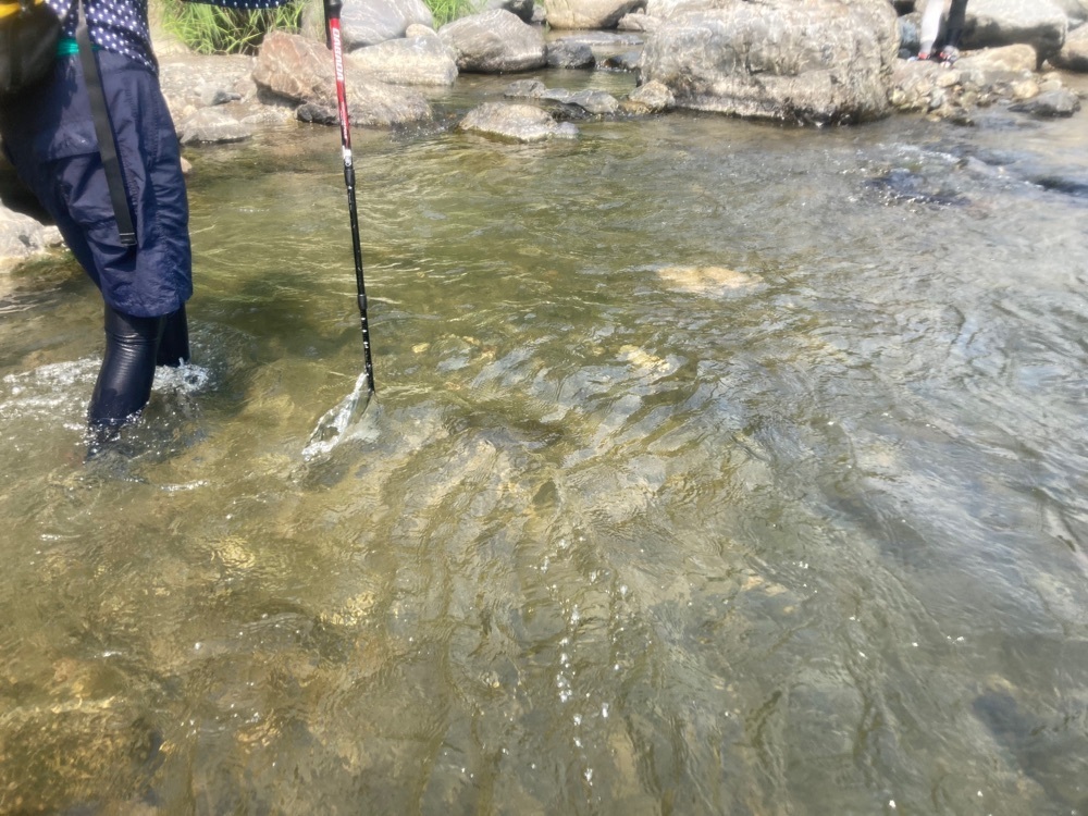 ふみさんが投稿した摂津峡公園に関する口コミの画像