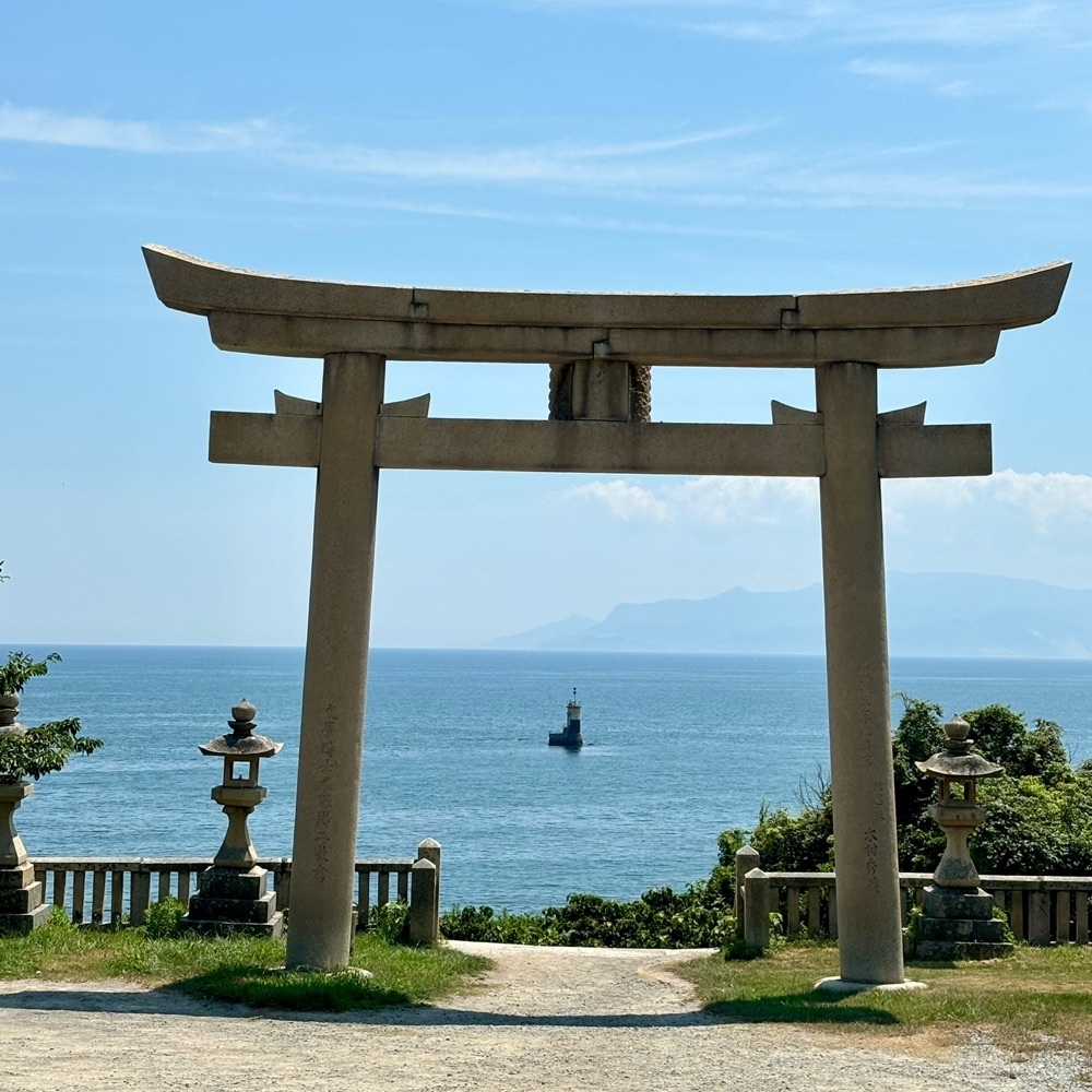 エリーチカさんが投稿したSAKURAGUMI（サクラグミ）に関する口コミの画像