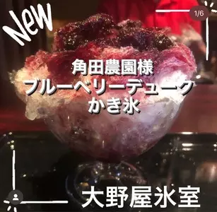 四代目大野屋氷室