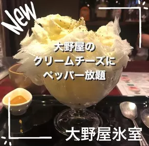 四代目大野屋氷室