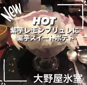 四代目大野屋氷室
