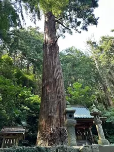 松田川ダムふれあい広場オートキャンプ場