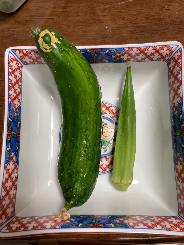 ゴンさんが投稿したユニオン 赤道店に関する口コミの画像