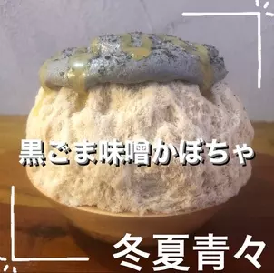 冬夏青々（トウカセイセイ）