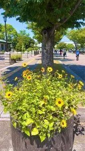 葛西臨海公園1号売店