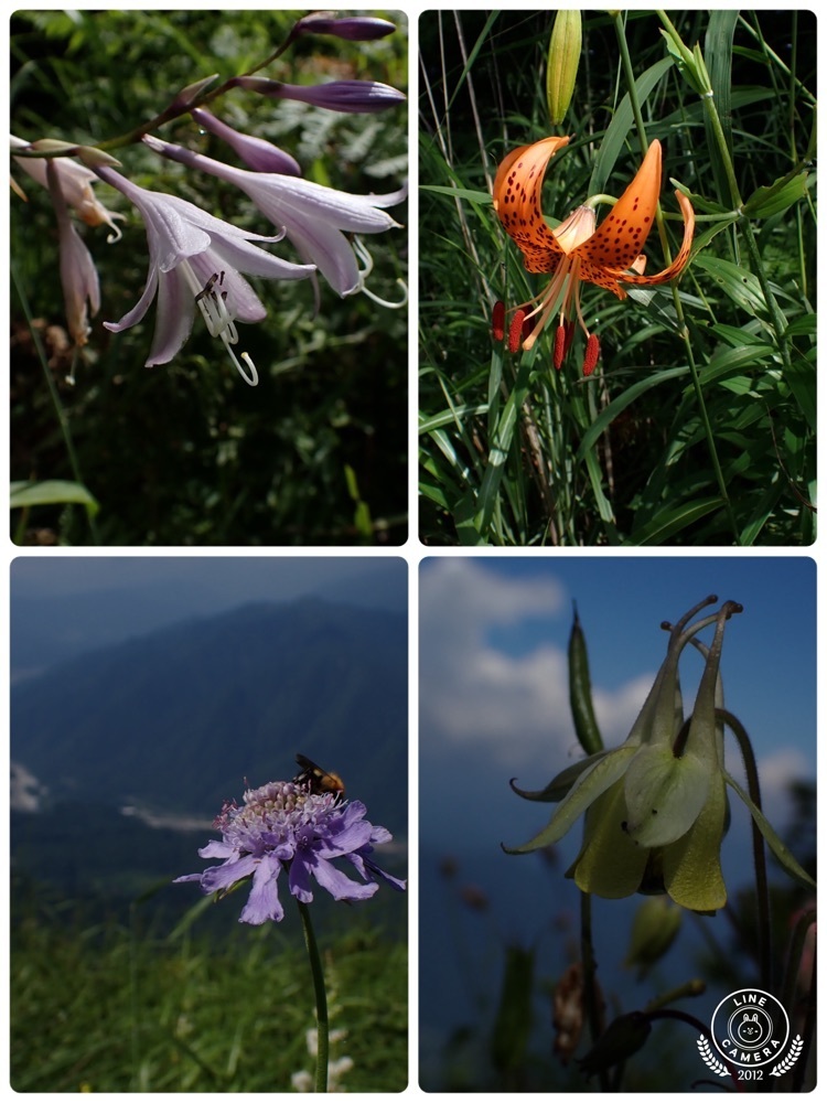Howl Monさんが投稿した風越山に関する口コミの画像