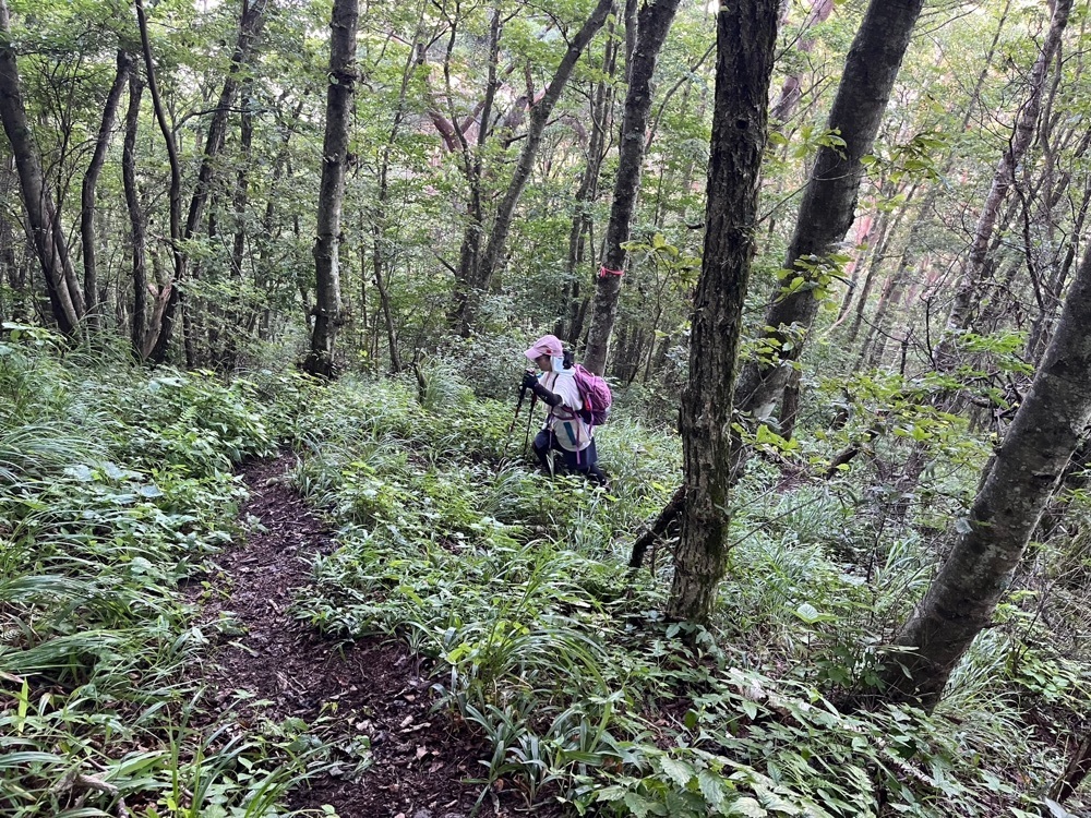 Howl Monさんが投稿した風越山に関する口コミの画像